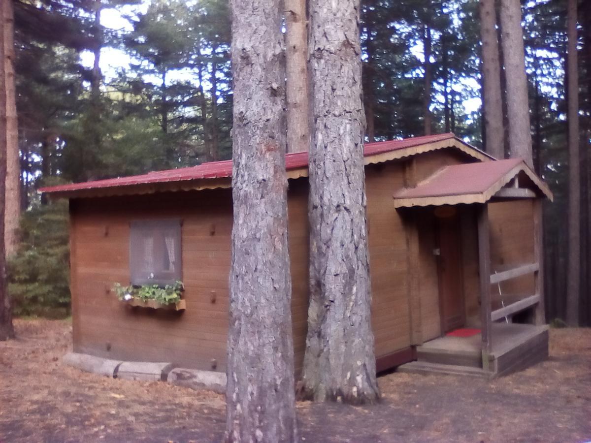 Chalet Clan Dei Ragazzi Hotell Linguaglossa Exteriör bild
