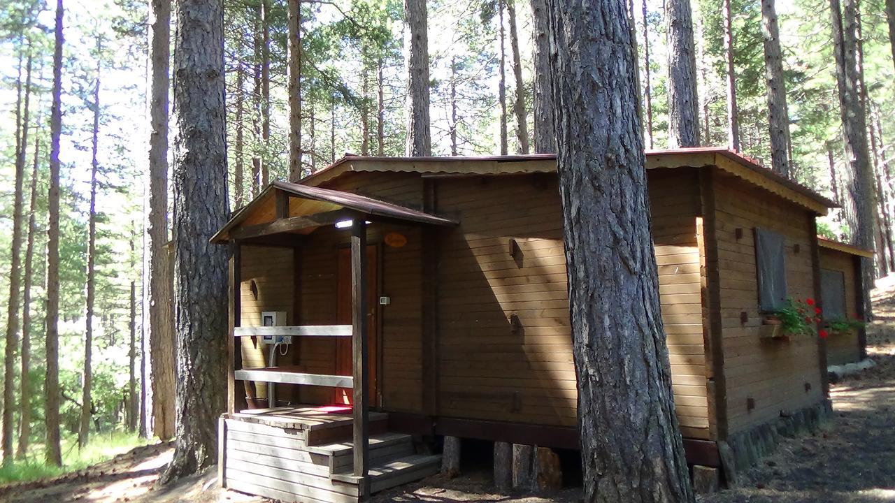 Chalet Clan Dei Ragazzi Hotell Linguaglossa Exteriör bild